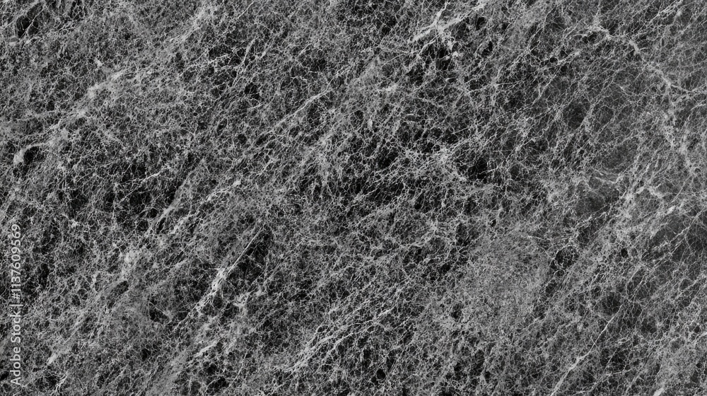 Stunning Black and White Marble Texture for Interior Design Stunning Black and White Marble Texture for Interior Design