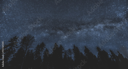 The Milky Way loomed over the forest.