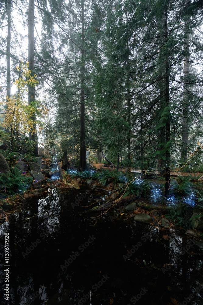 Fototapeta premium Capilano Suspension Bridge Park in North Vancouver, British Columbia, Canada, on a moody, rainy autumn day in november