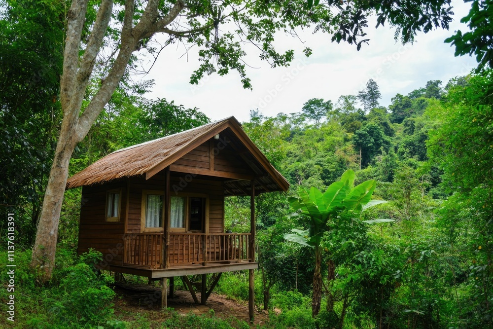 Tranquil Eco-Friendly Cabin Nestled in Lush Forest for Nature Retreats Tranquil Eco-Friendly Cabin Nestled in Lush Forest for Nature Retreats