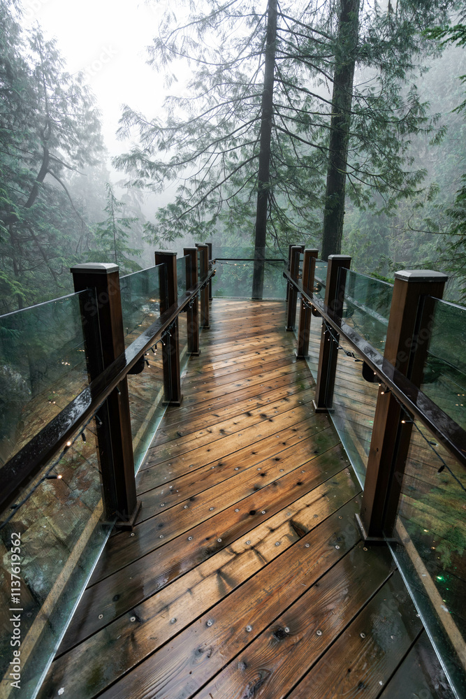 Capilano Suspension Bridge Park in North Vancouver, British Columbia, Canada, on a moody, rainy autumn day in november Capilano Suspension Bridge Park in North Vancouver, British Columbia, Canada, on a moody, rainy autumn day in november