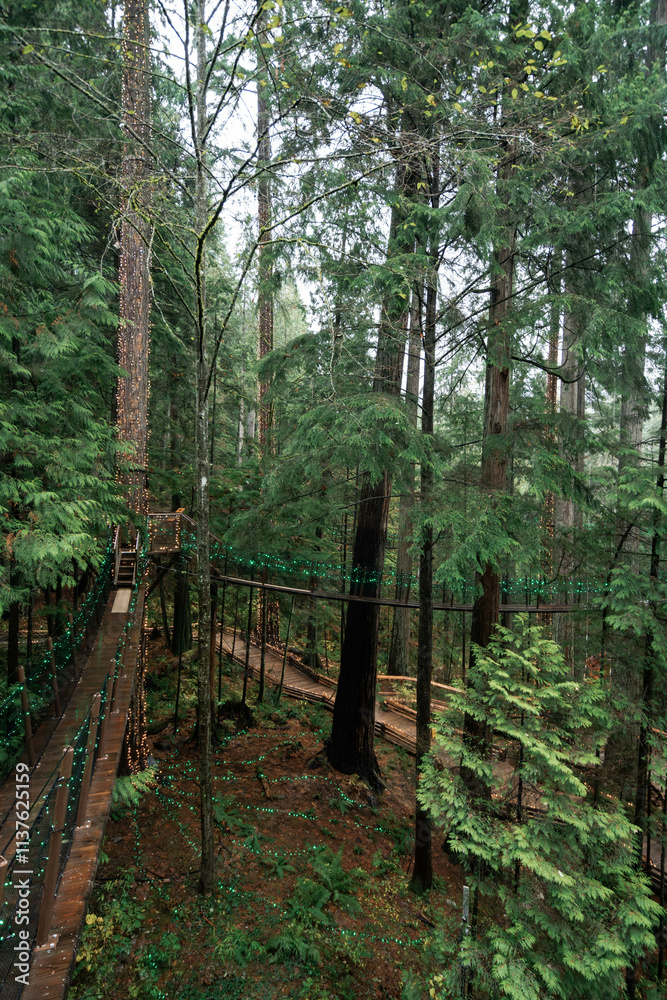 Capilano Suspension Bridge Park in North Vancouver, British Columbia, Canada, on a moody, rainy autumn day in november Capilano Suspension Bridge Park in North Vancouver, British Columbia, Canada, on a moody, rainy autumn day in november