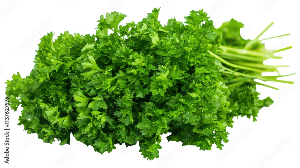 Obraz premium Fresh Curly Parsley Leaves Image for Culinary and Natural Ingredient Usage in Recipes, Garnishes, and Health-Focused Content.