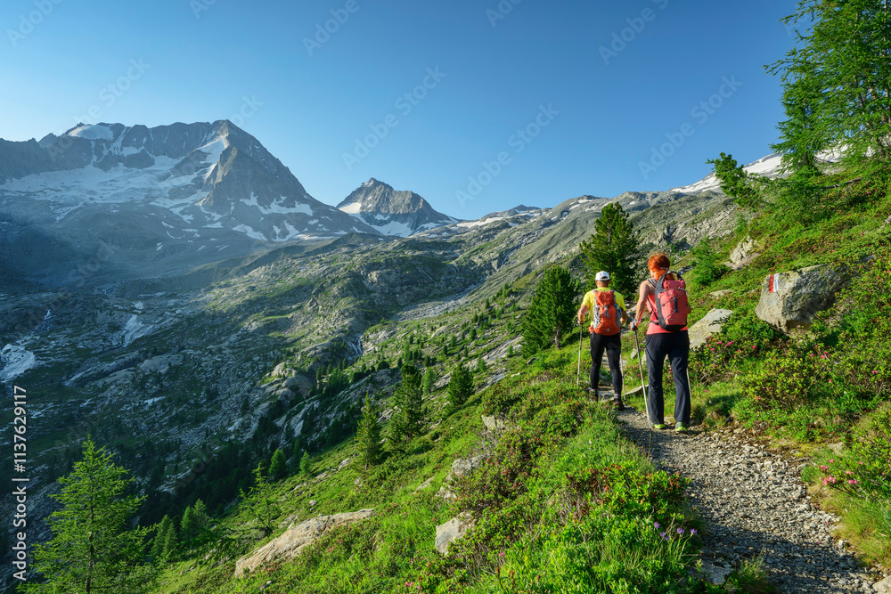 Mature couple hiking on Hartdegen trail in Rieserferner group mountain range, Italy Mature couple hiking on Hartdegen trail in Rieserferner group mountain range, Italy
