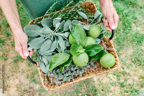 Woman holding wicker tray with collected organic herbs and fruits in garden