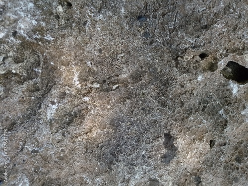 Close up of coral rocks found in karst plateau, marine animal fossils, karst, limestone, underground rivers, and all forms of beautiful karst rock landscapes.