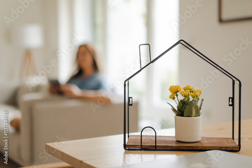 House model with potted flower inside on table and woman in background photo