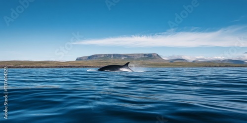Wallpaper Mural A dolphin leaps from the sparkling blue waters near a scenic coastline. The image captures the beauty of marine life and the serenity of nature. Ideal for nature lovers and wildlife enthusiasts. AI Torontodigital.ca