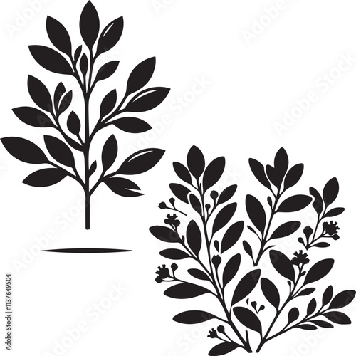 myrtle,  Shrub silhouette - natural shrub - Garden Decor plant - vector of myrtle - Environmental Icon  