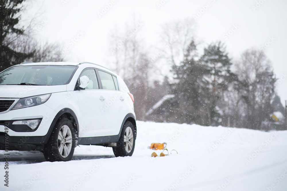 White SUV Parked on Snowy Road with Snowfall and Trees Background White SUV Parked on Snowy Road with Snowfall and Trees Background