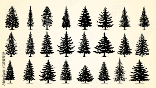 Silhouettes of various evergreen trees showcasing different shapes and styles in black.