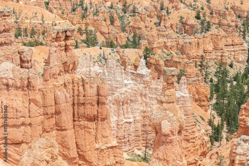 Hoodoos in Bryce Canyon National Park, Utah, USA Hoodoos in Bryce Canyon National Park, Utah, USA