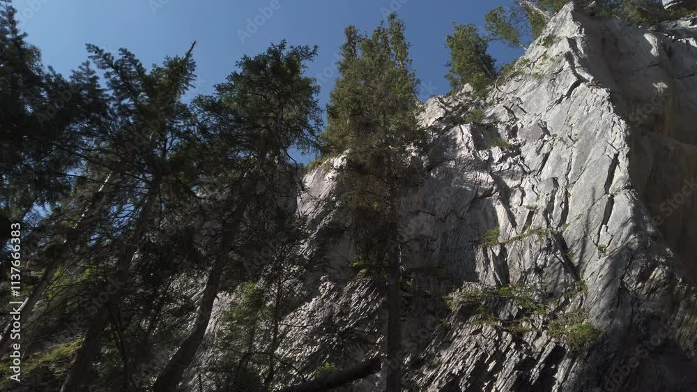 Rock cliff face pan in pine forest, Alberta, Canada