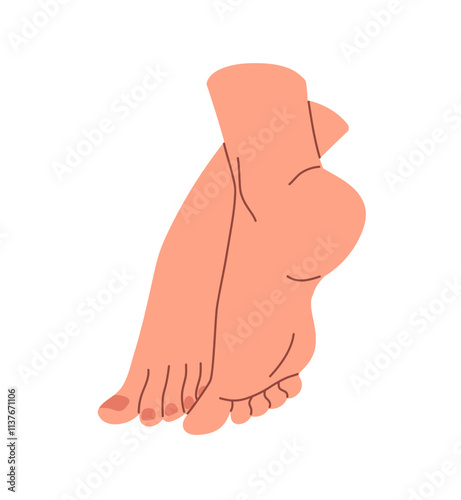 Bare female feet on tiptoes with pedicure on nails. Barefoot woman stands on toes back side. Seductive naked legs. Podiatry, anatomy of soles, heels. Flat isolated vector illustration on white