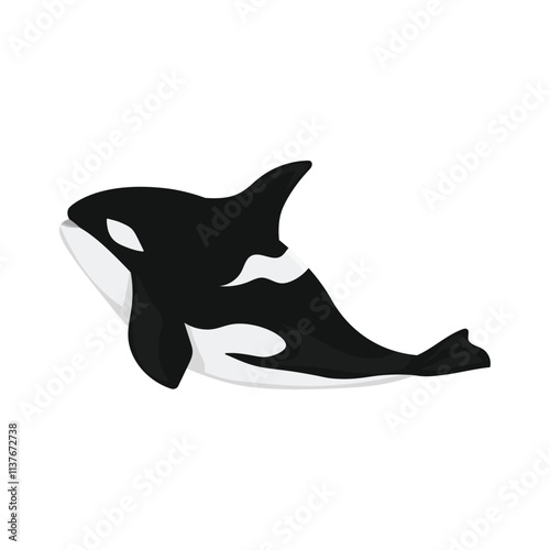 Sea And Ocean Animal Illustration - Whale