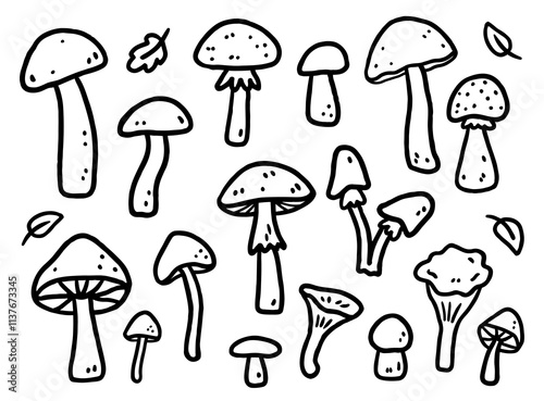 A set of autumn mushrooms isolated on a white background. Vector hand-drawn doodle illustration. Perfect for decorations, logo, various designs. photo