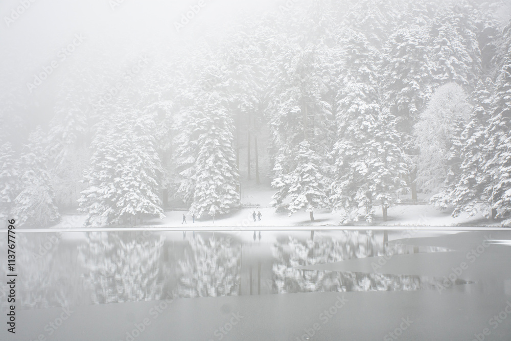 Fototapeta premium human silhouettes among snow-covered trees