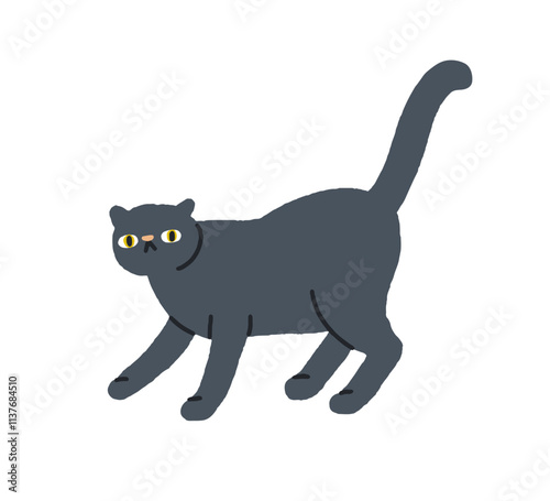 Cute cat looking, staring with funny emotion. Feline animal with tail raised,...