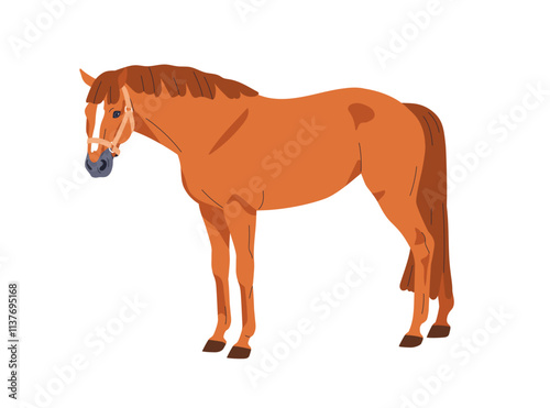 Horse standing. Purebred stallion in calm pose with halter on muzzle. Graceful equine animal breed, domestic country animal. Thoroughbred steed. Flat vector illustration isolated on white background