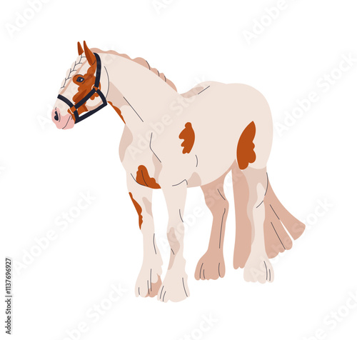 Horse standing, Gypsy Cob breed. Thoroughbred equine animal, work draft farm stallion in halter, feathered legs, spotted coat. Flat graphic vector illustration isolated on white background