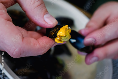 Bouchot mussels from Brittany, empty shells, shellfish rich in omega 3, healthy meal photo