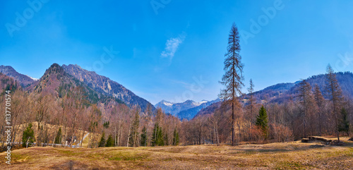 Panorama of the mountain valley in Alps, Mogno, Vallemaggia, Switzerland photo