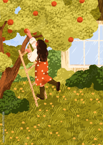 Picking apple in countryside orchard. Girl collecting, gathers fruit harvest ...
