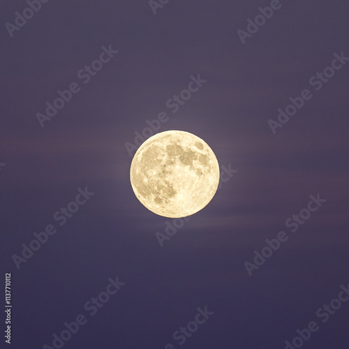 Full moon illuminating the night sky photo