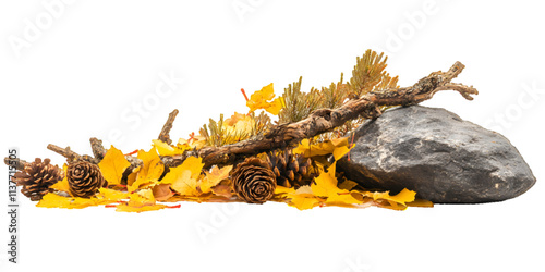 Dry, rotten tree branch and autumn conifer yellow leaves, cone, rock and needles foliage pile isolated on white or transparent background, side view


