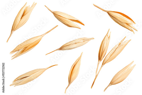Macro set oats grain peel isolated on white or transparent background, top view


