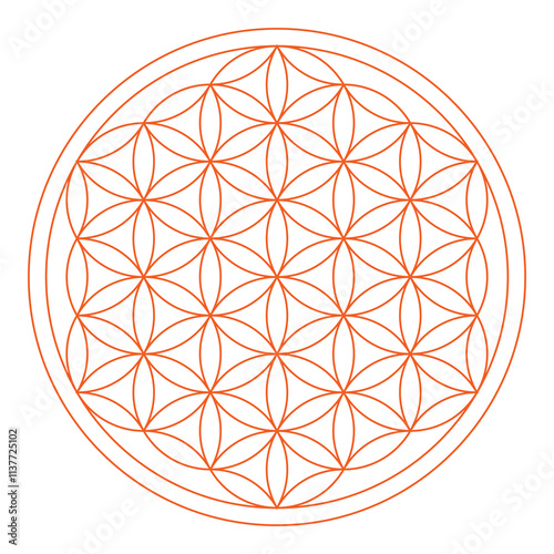 Orange outline Flower of Life. Geometric figure and spiritual symbol of the Sacred Geometry. Overlapping circles forming a flower like pattern. Illustration over white. Vector