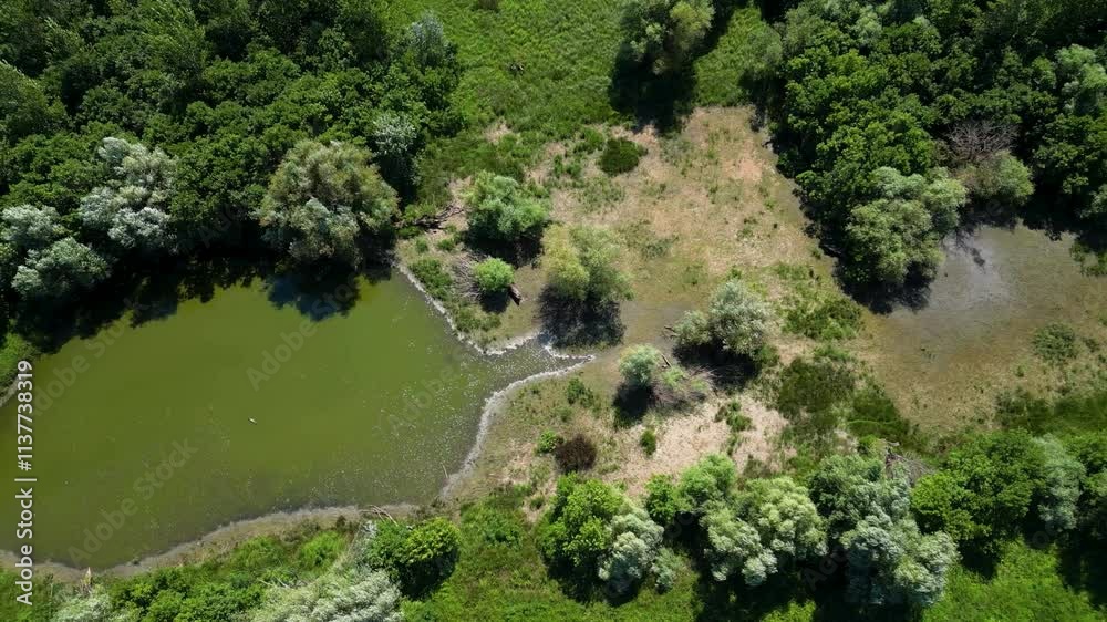 Aerial view of lush forest surrounding a calm green lake on a sunny day Aerial view of lush forest surrounding a calm green lake on a sunny day