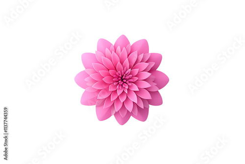 A vibrant pink flower with layered petals, showcasing a delicate and intricate design.