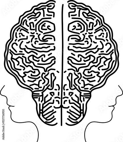 Cerebral hemisphere puzzle