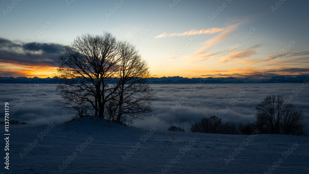 Deux arbres au lever du soleil devant une mer de brume dans le Jura Suisse Deux arbres au lever du soleil devant une mer de brume dans le Jura Suisse