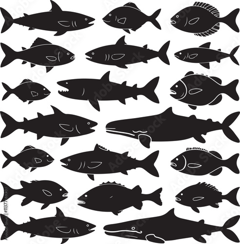 Collection of salmon fish vector silhouettes isolate on white background