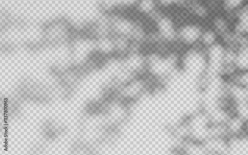 Abstract shadow overlay from foliage on a transparent background.