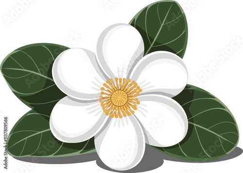 Elegant Arabian Jasmine flower clipart, isolated on a illustration white background, fragrant Jasmine bloom.