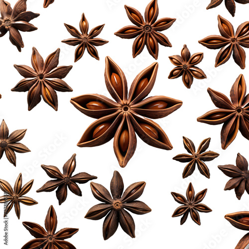 anise stars arranged in a circle photo