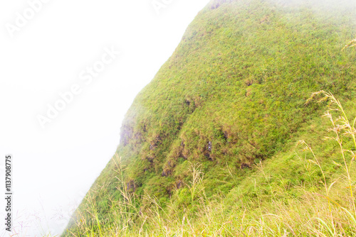 Landscape Hill with thick white fog of Khao Chang Phueak Kanchanaburi Thailand at Thong Pha Phum National. Beauty in nature, amazing mountain in tropical yellow, gold, green forest of national park.  photo