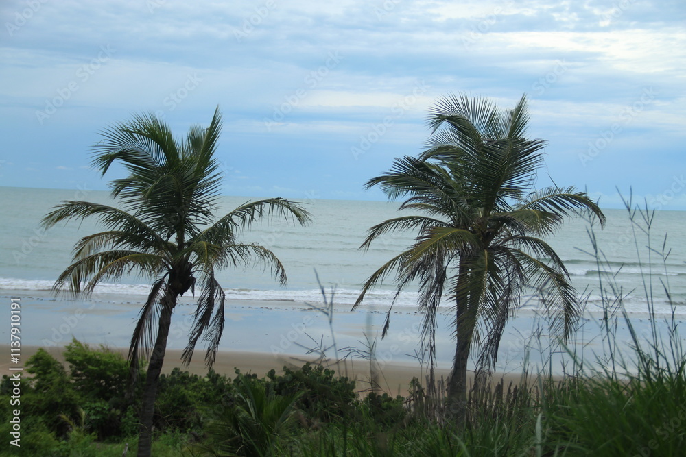 Fototapeta premium praia do coqueiro no litoral do piauí