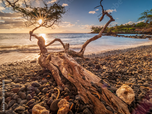 Follow me with a sundowner at the Maui Makena Beach view during summer time photo