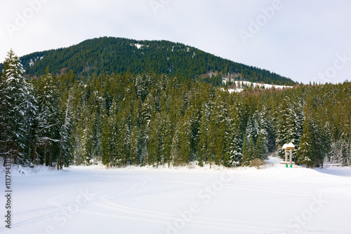 landscape with coniferous forest and frozen lake in mountain. sunny weather. nature scenery of synevyr national park in winter photo