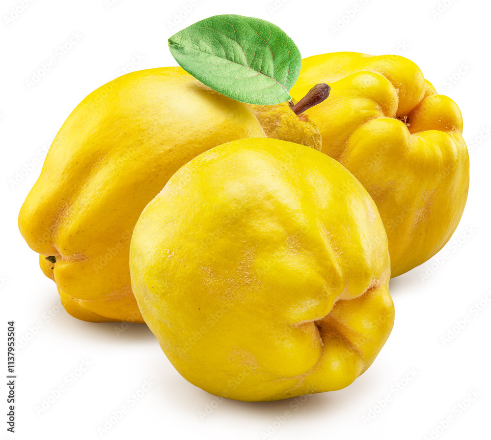 Ripe quinces with green leaves on white background. File contains clipping path. Ripe quinces with green leaves on white background. File contains clipping path.