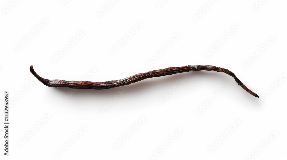 vanilla bean isolated on white background vanilla bean isolated on white background
