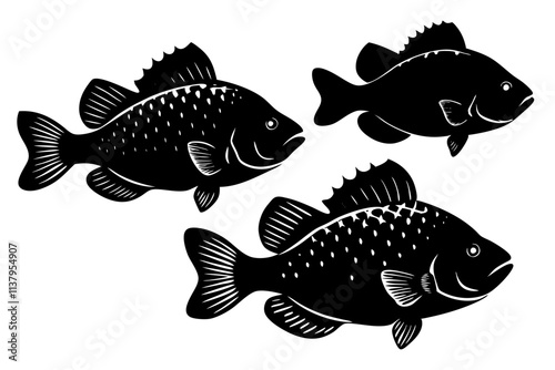 fish silhouette illustration.