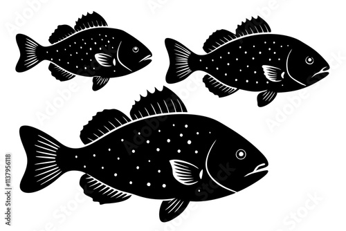 Crappie fish silhouette.