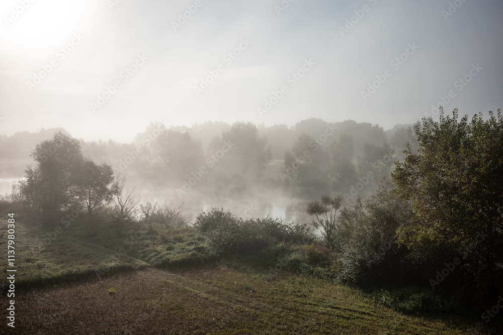 river in the morning fog