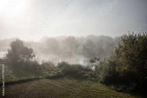 river in the morning fog