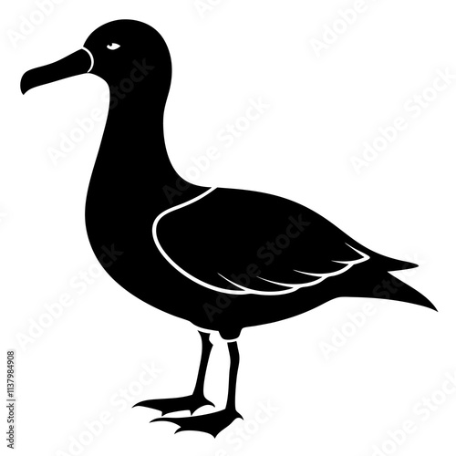 Albatross Silhouette vector illustration